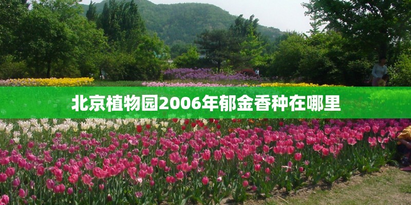 北京植物园2006年郁金香种在哪里
