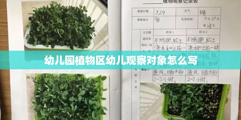 幼儿园植物区幼儿观察对象怎么写