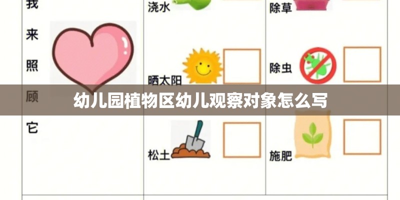 幼儿园植物区幼儿观察对象怎么写