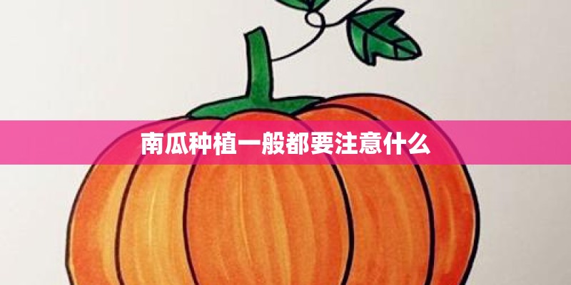 南瓜种植一般都要注意什么