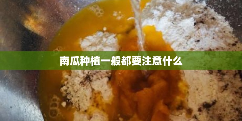 南瓜种植一般都要注意什么