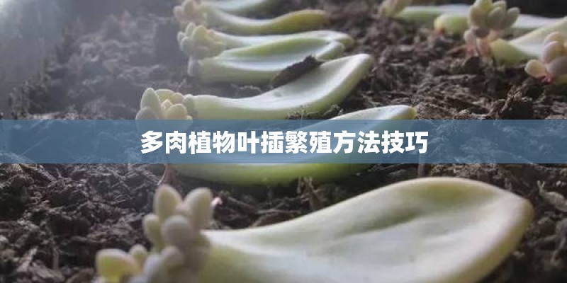 微整形市场潜规则兜售针剂推荐工作室注射的的原因？