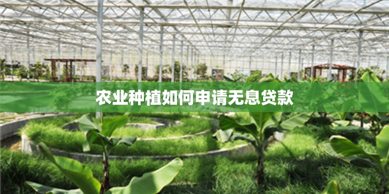 农业种植如何申请无息贷款