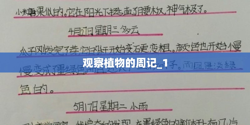 观察植物的周记_1
