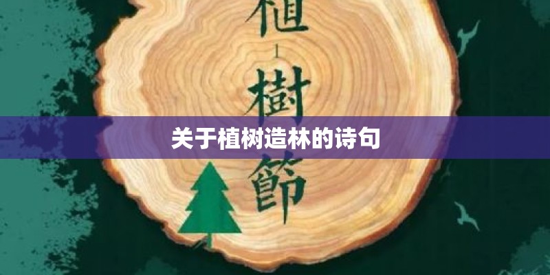 五年级上册解方程应用题及答案