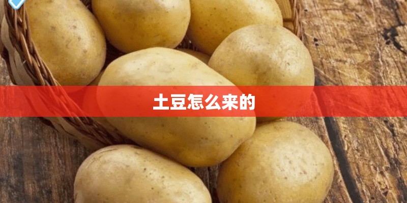 土豆怎么来的