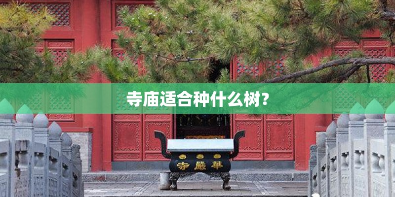 寺庙适合种什么树？