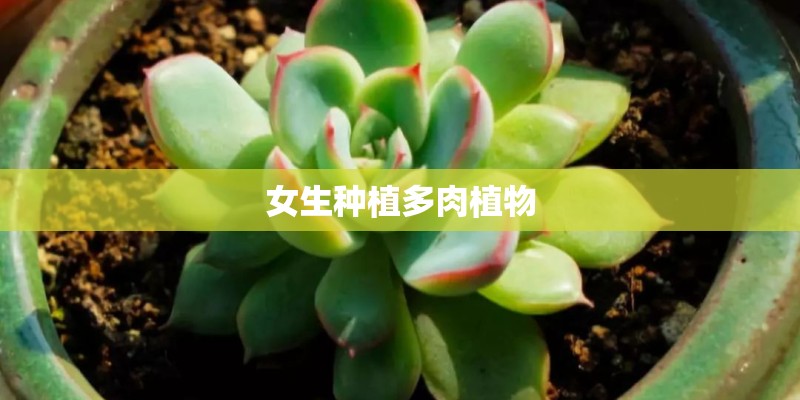 女生种植多肉植物
