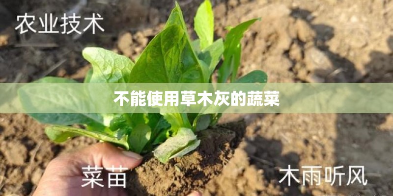 不能使用草木灰的蔬菜