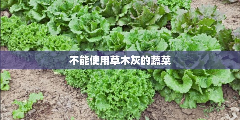 不能使用草木灰的蔬菜
