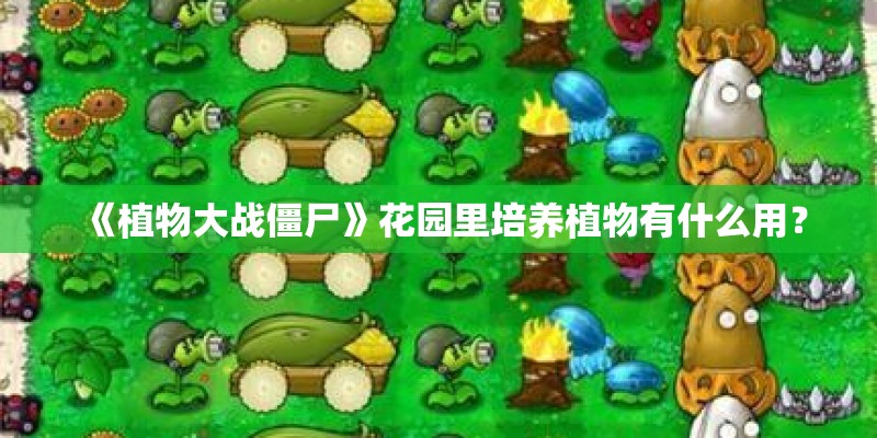 《植物大战僵尸》花园里培养植物有什么用？