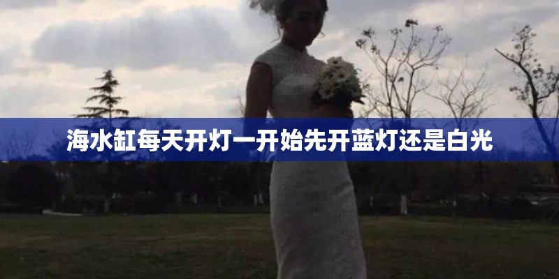 海水缸每天开灯一开始先开蓝灯还是白光