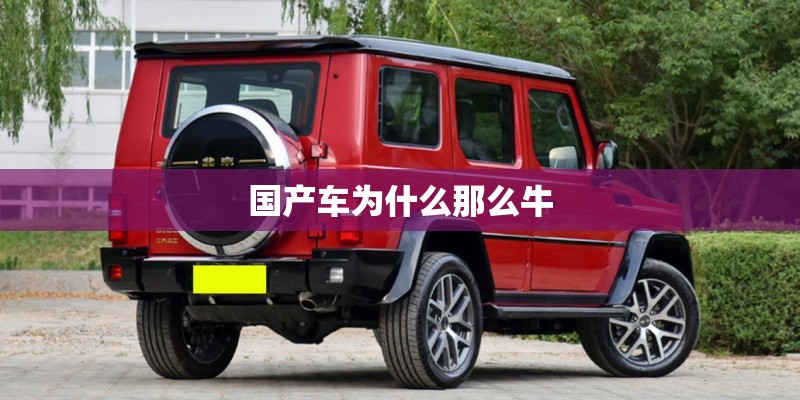 国产车为什么那么牛
