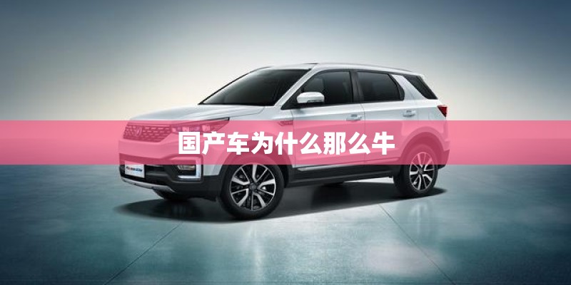 国产车为什么那么牛