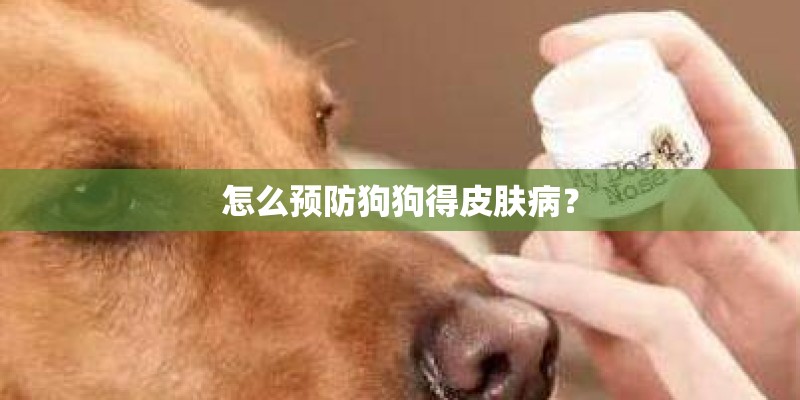 怎么预防狗狗得皮肤病？