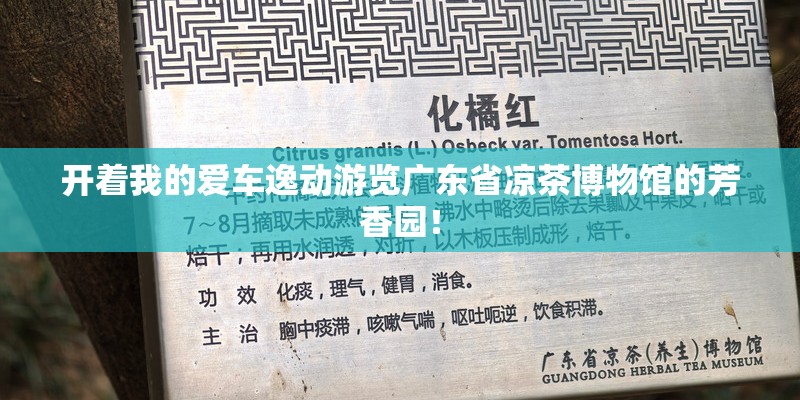 开着我的爱车逸动游览广东省凉茶博物馆的芳香园！