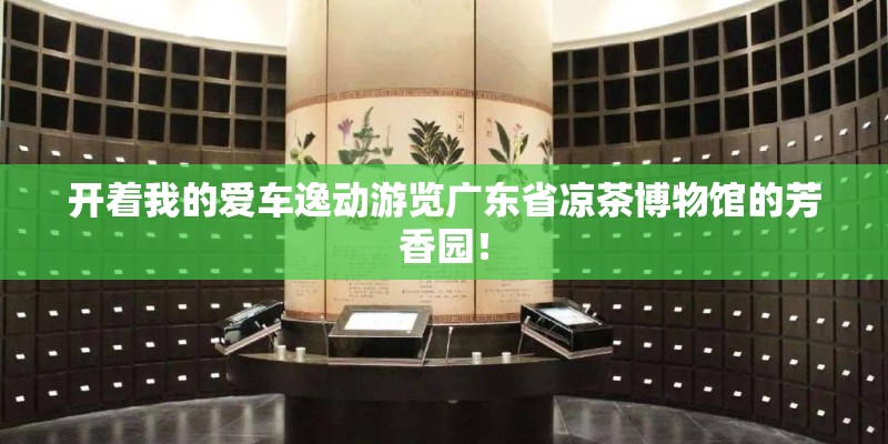 开着我的爱车逸动游览广东省凉茶博物馆的芳香园！
