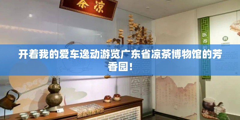 开着我的爱车逸动游览广东省凉茶博物馆的芳香园！