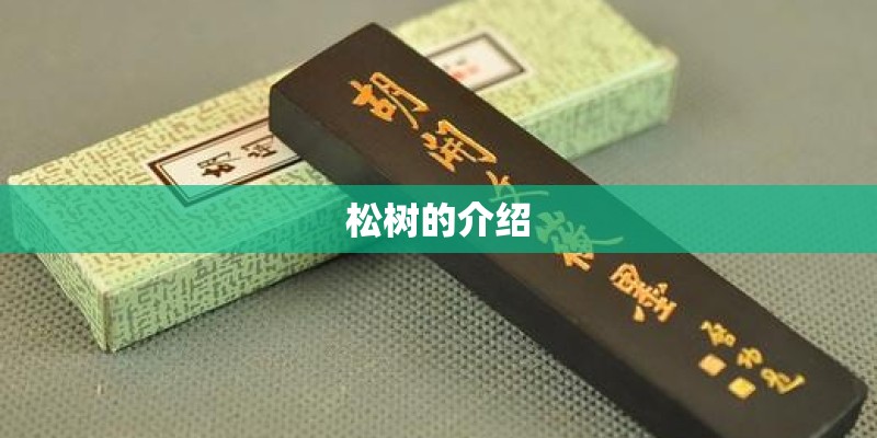 松树的介绍