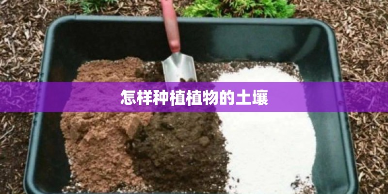 怎样种植植物的土壤