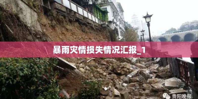 暴雨灾情损失情况汇报_1