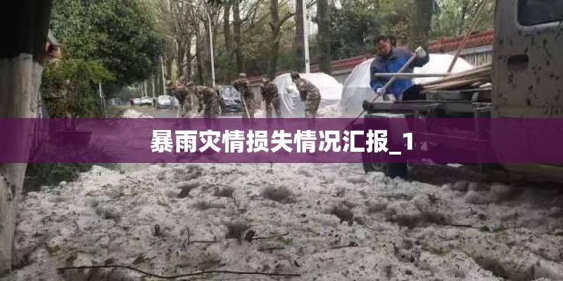 暴雨灾情损失情况汇报_1