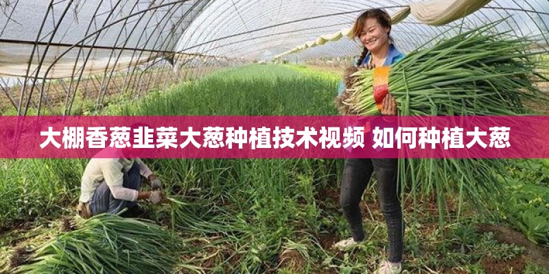 大棚香葱韭菜大葱种植技术视频 如何种植大葱