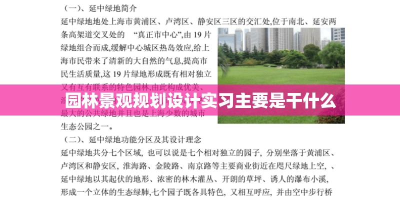 玫瑰花带育苗盆买回来怎么种植？