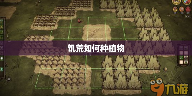 饥荒如何种植物