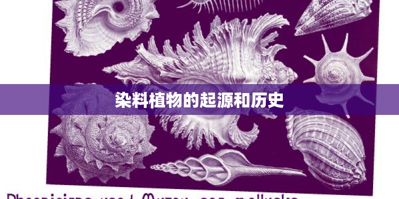 染料植物的起源和历史