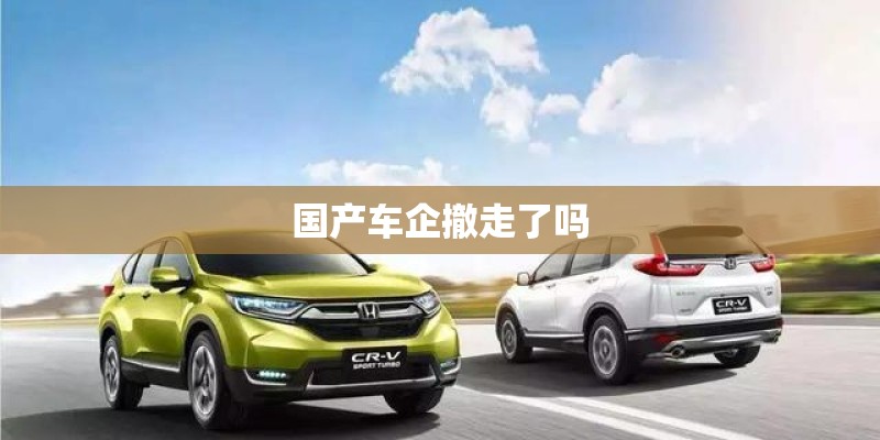 国产车企撤走了吗