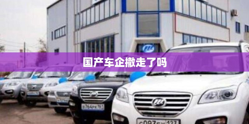 国产车企撤走了吗