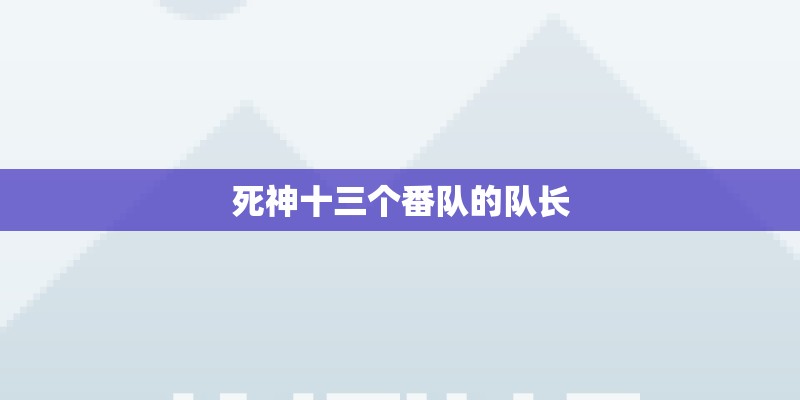 死神十三个番队的队长