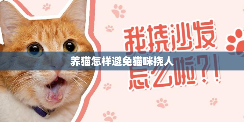 养猫怎样避免猫咪挠人