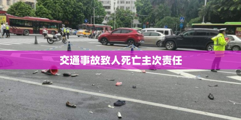 交通事故致人死亡主次责任