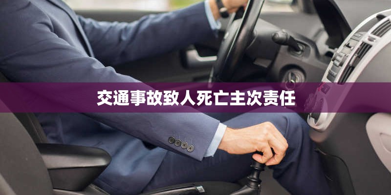 交通事故致人死亡主次责任
