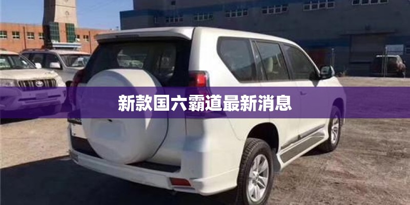 新款国六霸道最新消息