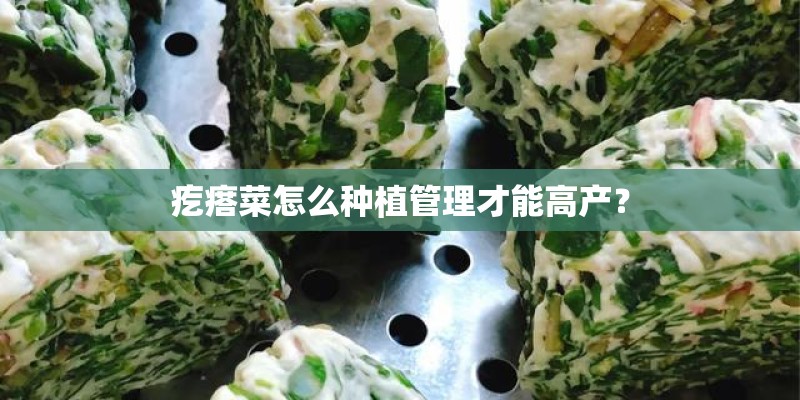 疙瘩菜怎么种植管理才能高产？