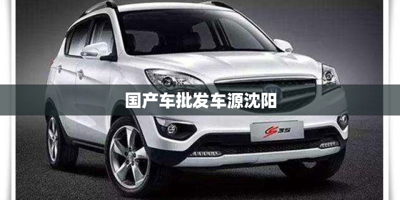 国产车批发车源沈阳