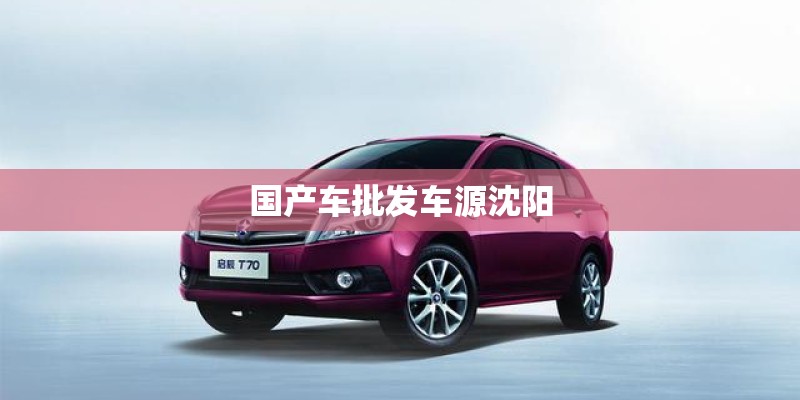 国产车批发车源沈阳