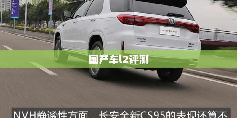 国产车l2评测