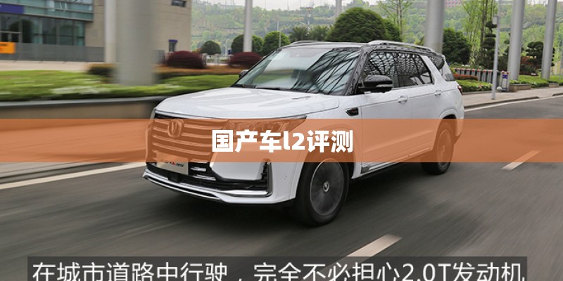 国产车l2评测