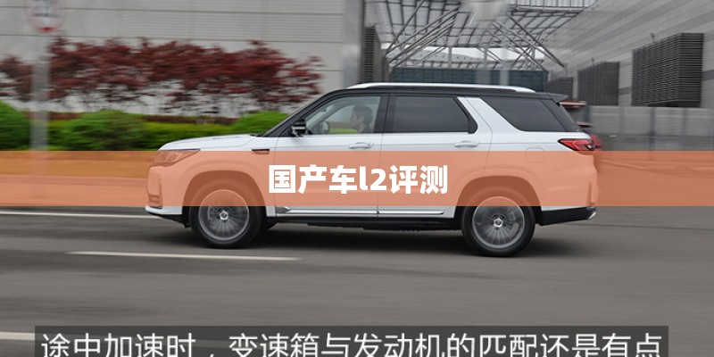 国产车l2评测
