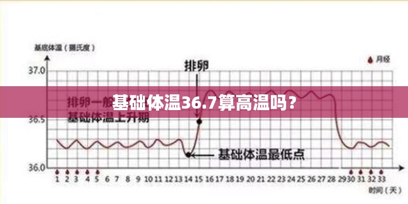 基础体温36.7算高温吗？