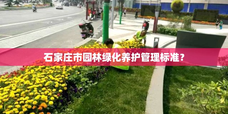 石家庄市园林绿化养护管理标准？