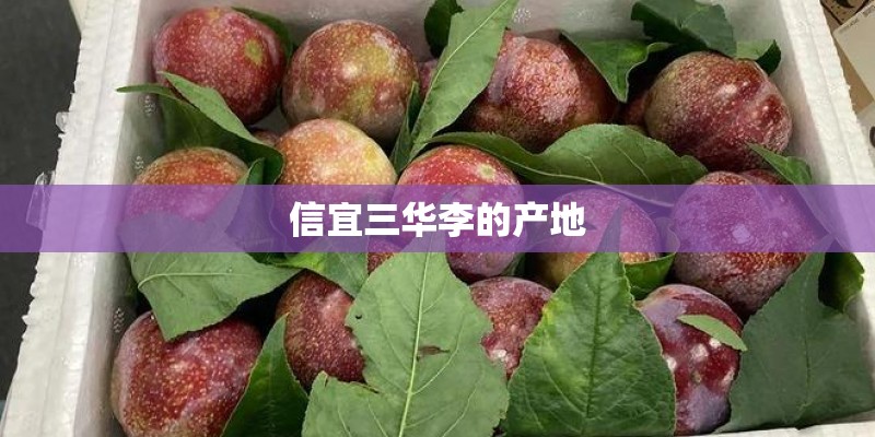 信宜三华李的产地