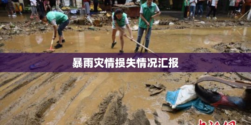 暴雨灾情损失情况汇报