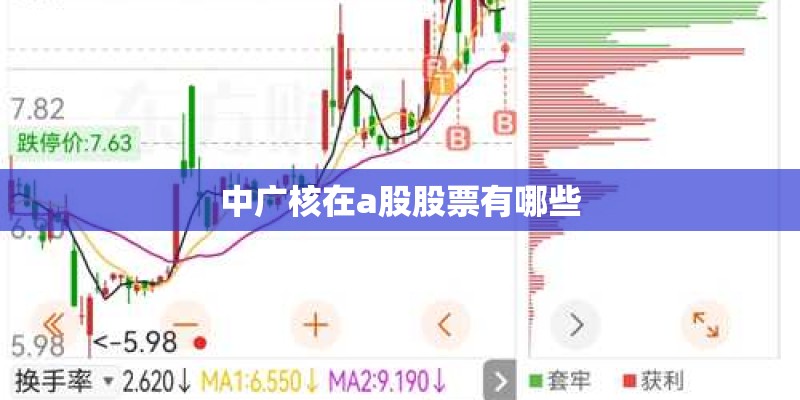 中广核在a股股票有哪些