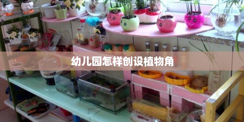幼儿园怎样创设植物角