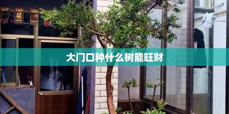 大门口种什么树能旺财
